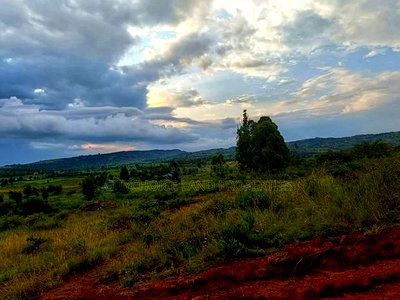 50 X 100ft Plots for Sale in Ndiguini Kikuyu - Image 3