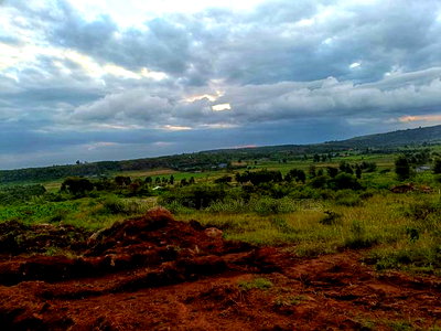 50 X 100ft Plots for Sale in Ndiguini Kikuyu - Image 4