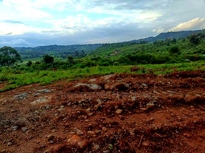 50 X 100ft Plots for Sale in Ndiguini Kikuyu - Image 1