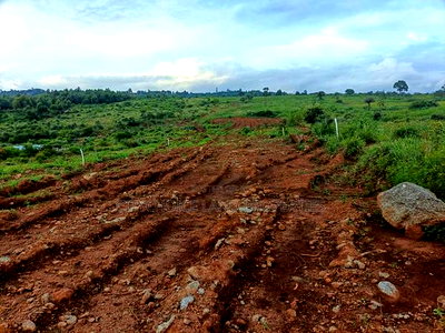 50 X 100ft Plots for Sale in Ndiguini Kikuyu - Image 9