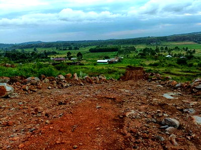 50 X 100ft Plots for Sale in Ndiguini Kikuyu - Image 8