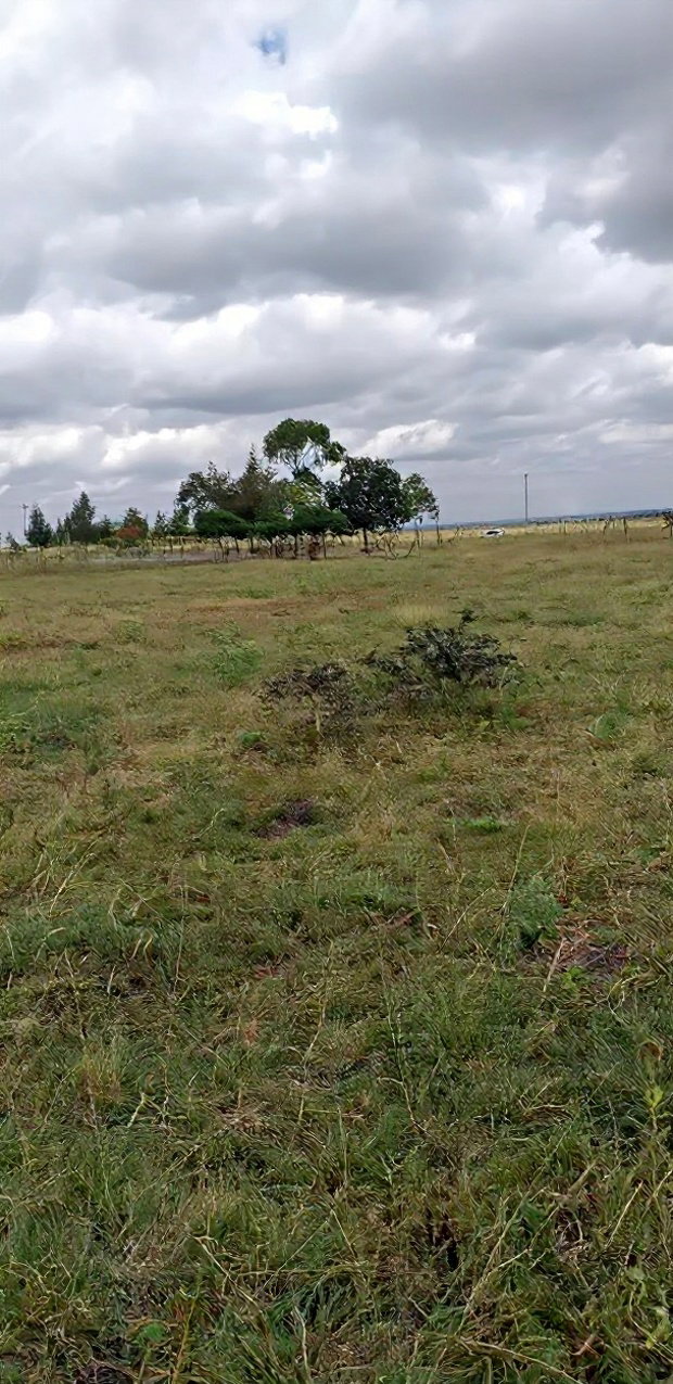 10 Prime Plots in Lukenya for Sale 1 Acre in Muthwani