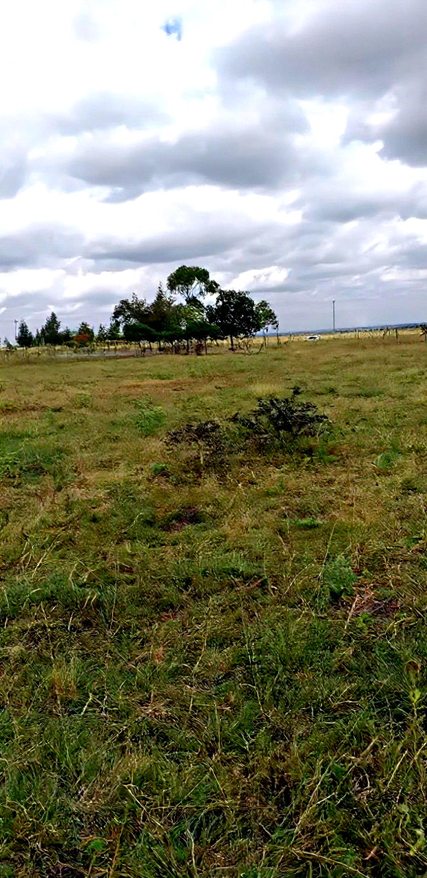 10 Prime Plots in Lukenya for Sale 1 Acre in Muthwani