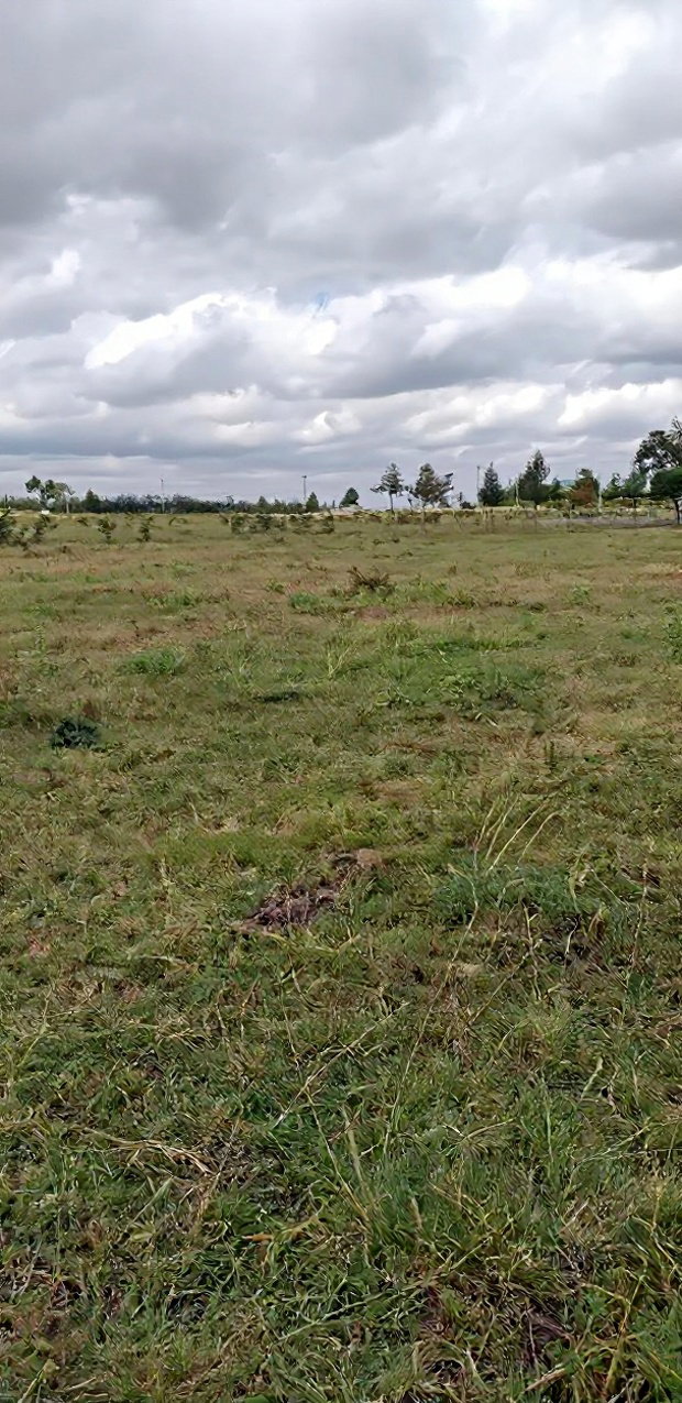 10 Prime Plots in Lukenya for Sale 1 Acre in Muthwani