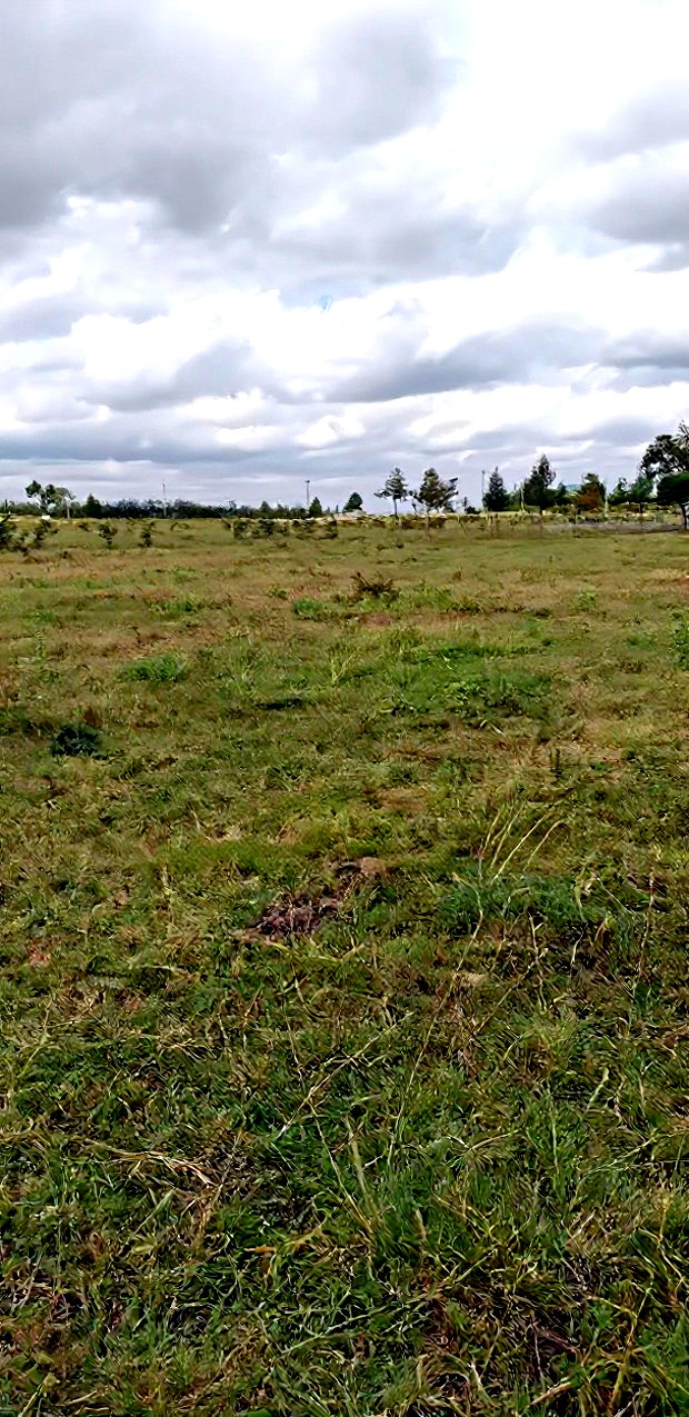 10 Prime Plots in Lukenya for Sale 1 Acre in Muthwani