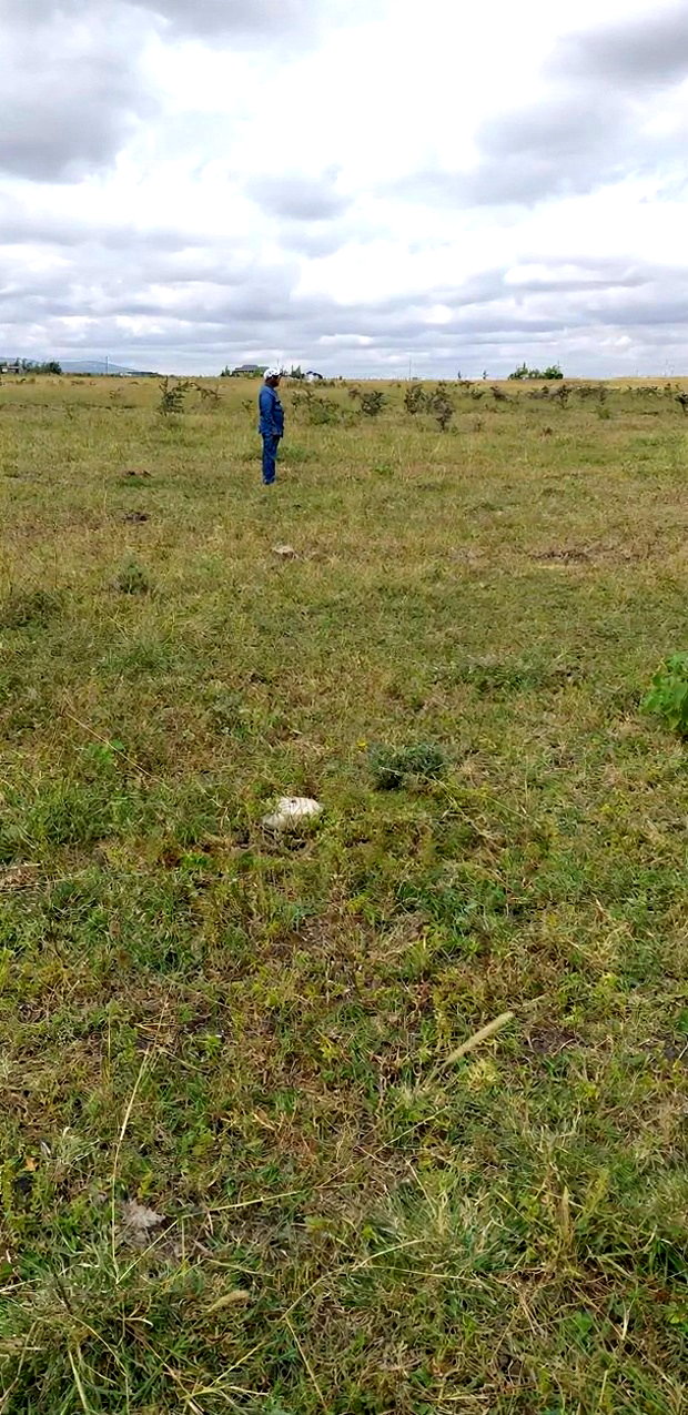 10 Prime Plots in Lukenya for Sale 1 Acre in Muthwani