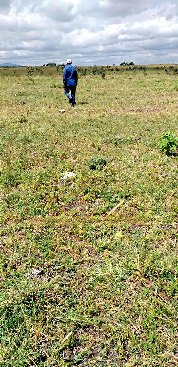 10 Prime Plots in Lukenya for Sale 1 Acre in Muthwani