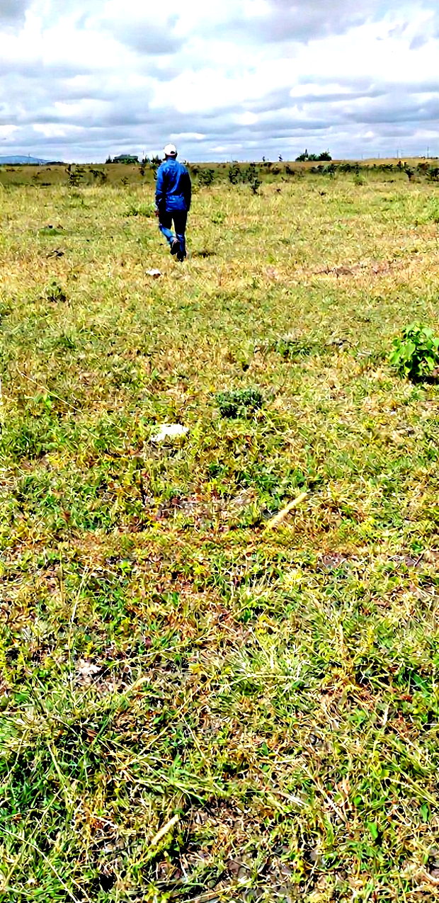 10 Prime Plots in Lukenya for Sale 1 Acre in Muthwani