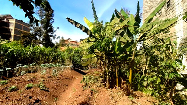 0.5 Acre Kiamumbi