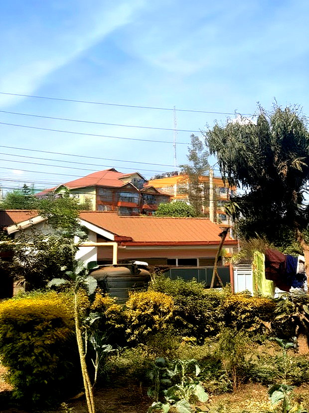 0.5 Acre Kiamumbi