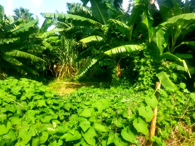 1/8 Acre 16th Drive Kerarapon - Image 4