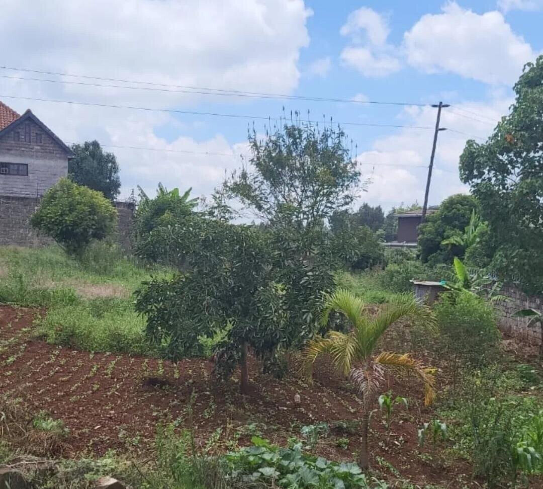 Half Acre Runda Plot with Garden at KSh 55M