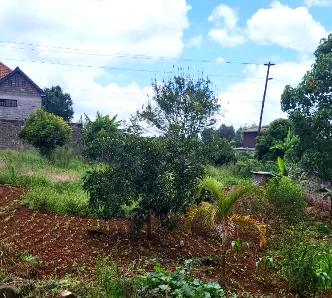 Half Acre Runda Plot with Garden at KSh 55M