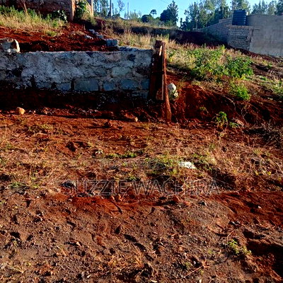 40x90ft Plots for Sale at Kenol - Image 1