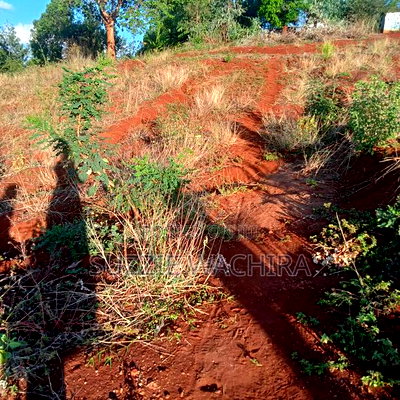 40x90ft Plots for Sale at Kenol - Image 3