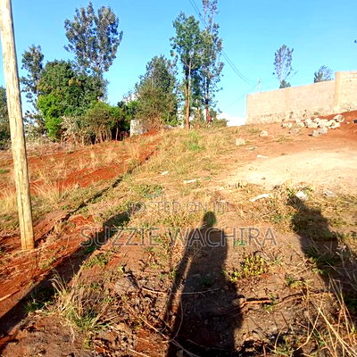 40x90ft Plots for Sale at Kenol - Image 2