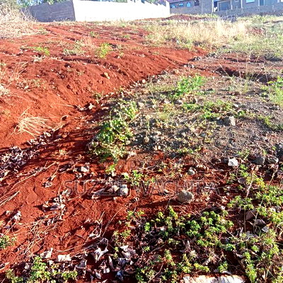 40x90ft Plots for Sale at Kenol - Image 4