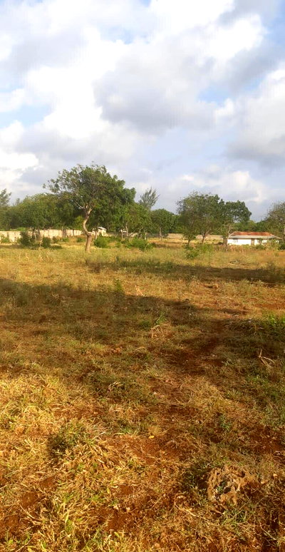 3-Acre Plot with Garden & Parking