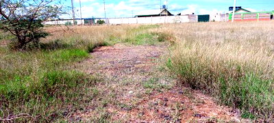 Plots for Sale in Juja, Plains View Estate - Image 4