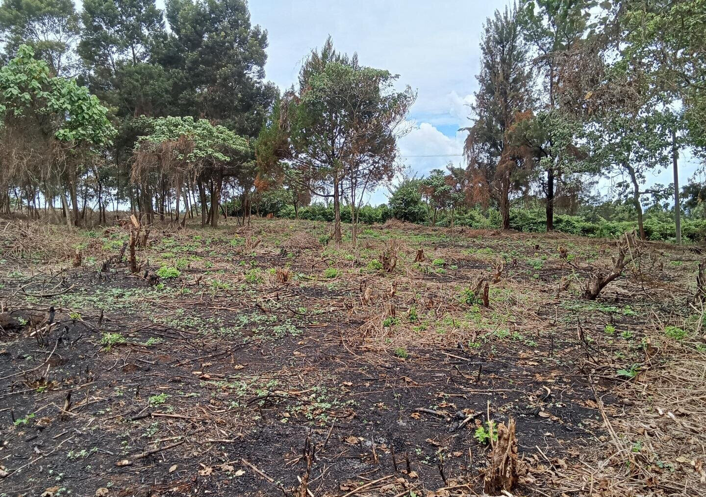 KSh 25M Garden Land in Redhill