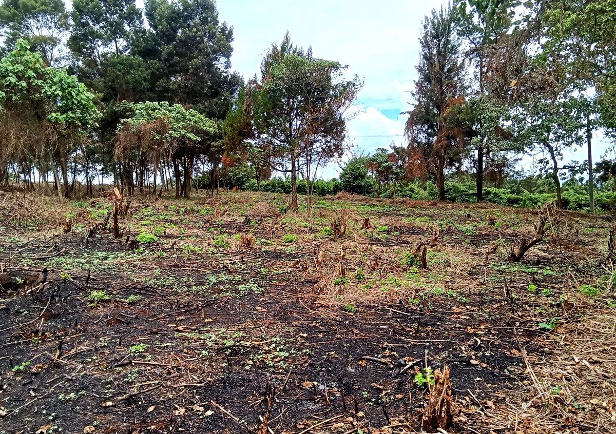 KSh 25M Garden Land in Redhill