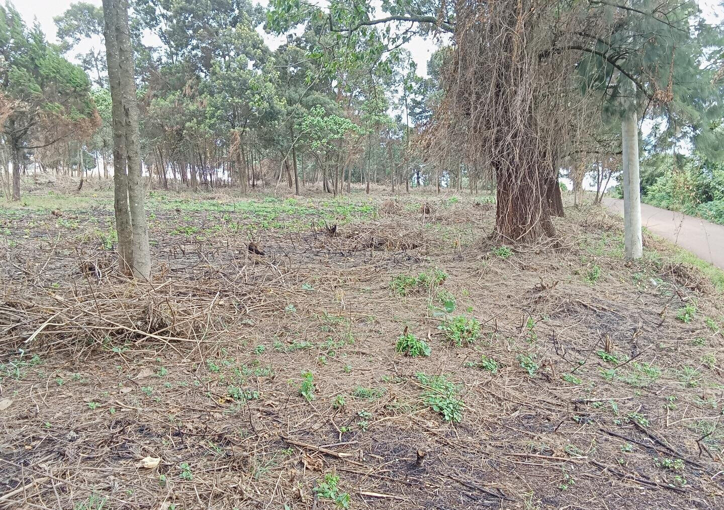 KSh 25M Garden Land in Redhill