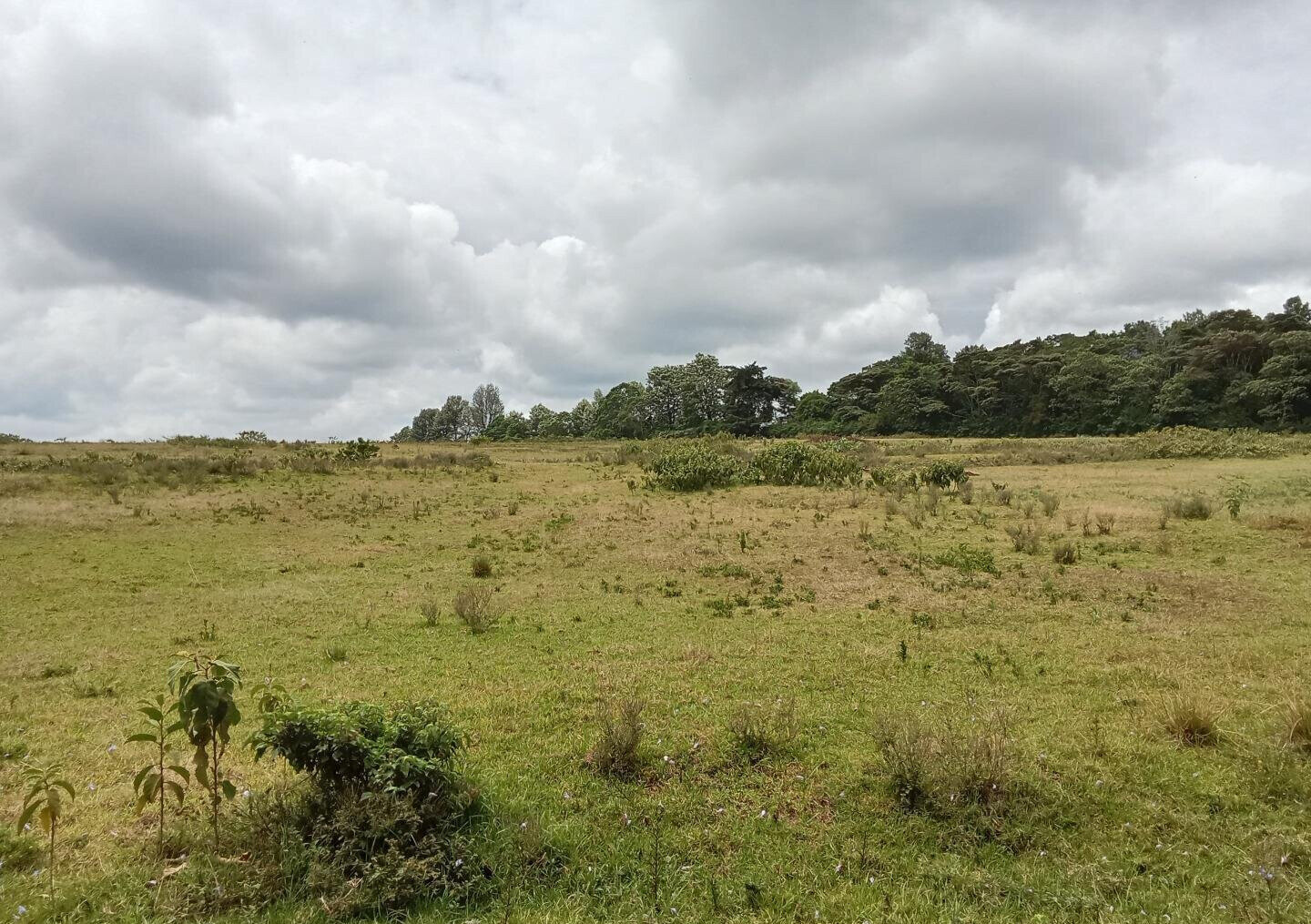KSh 25M Garden Land in Redhill