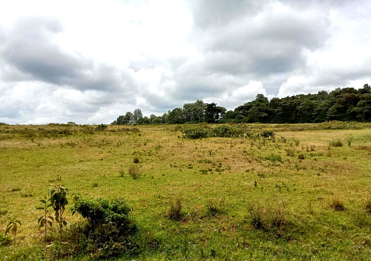 KSh 25M Garden Land in Redhill