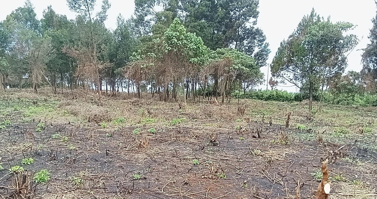 KSh 25M Garden Land in Redhill
