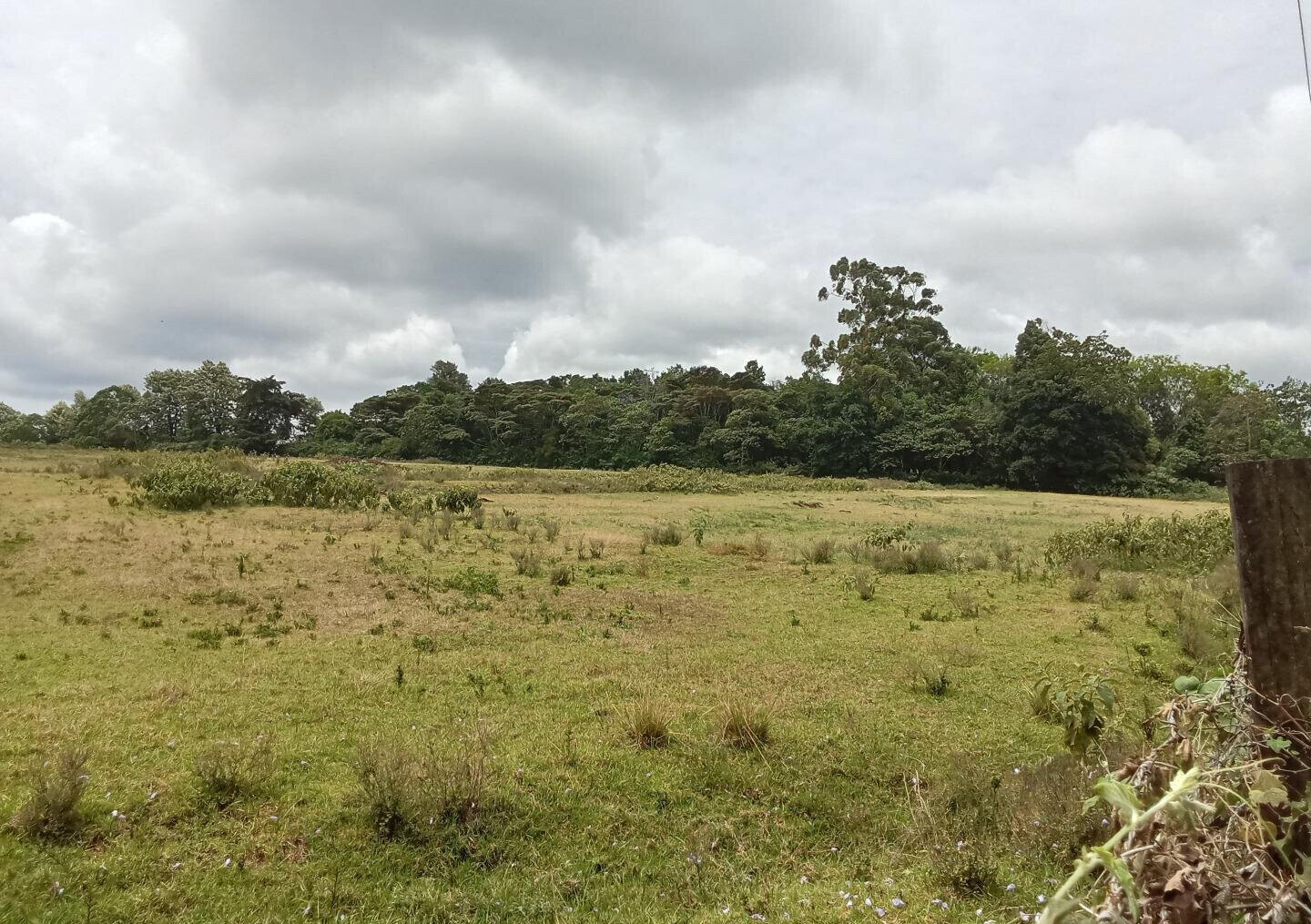 KSh 25M Garden Land in Redhill