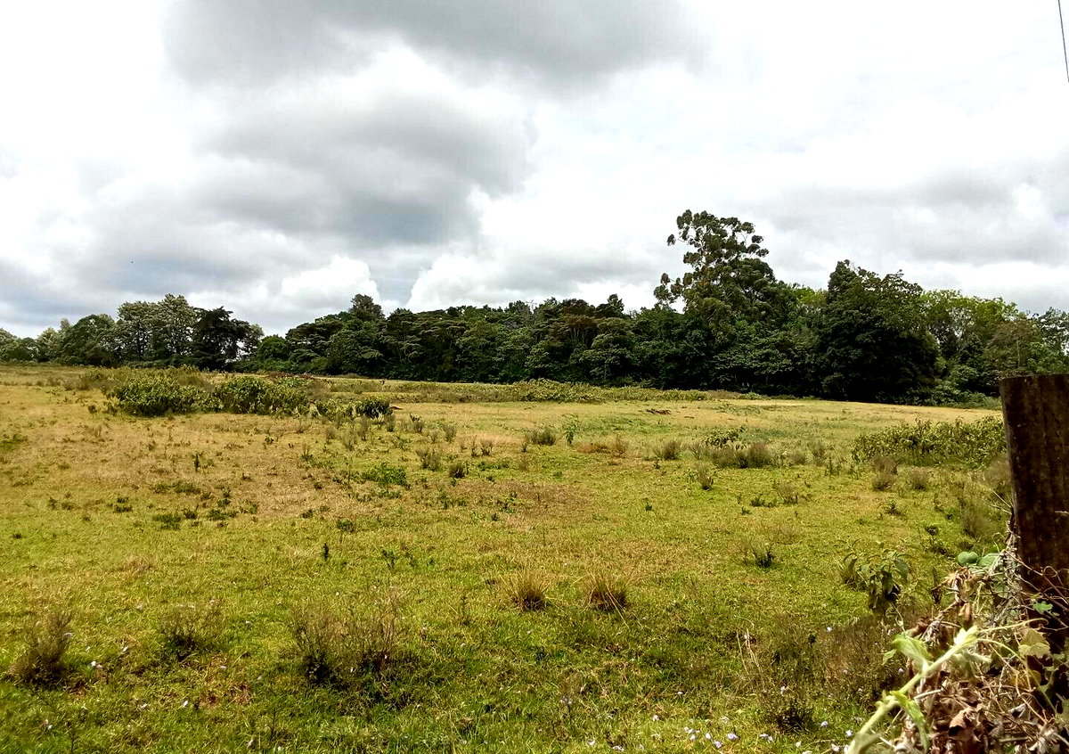 KSh 25M Garden Land in Redhill
