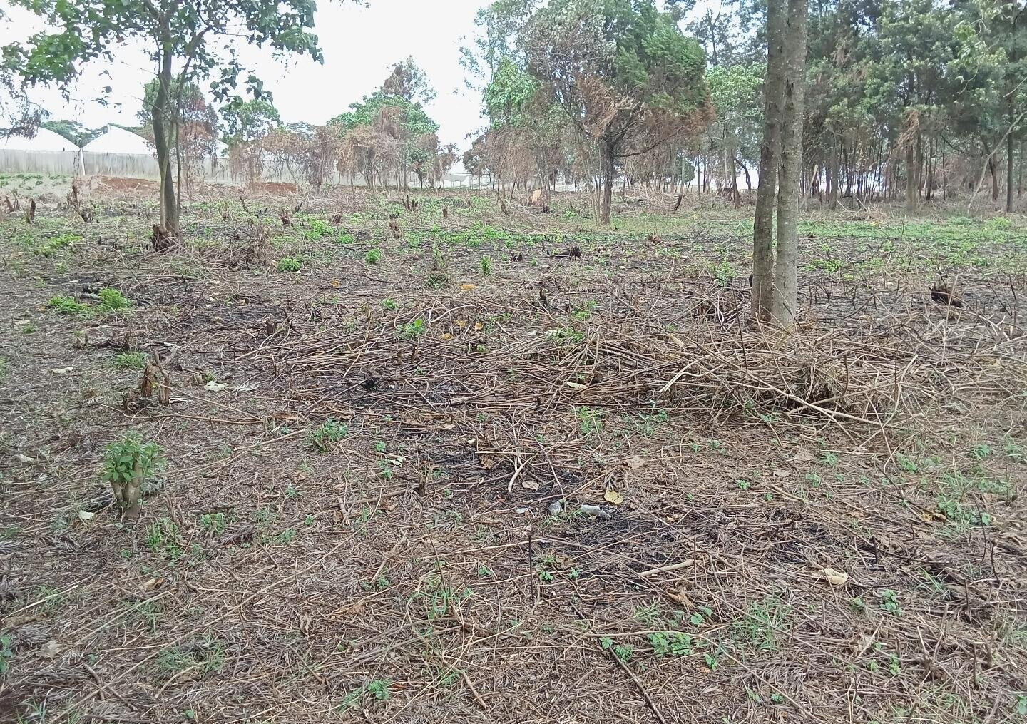 KSh 25M Garden Land in Redhill