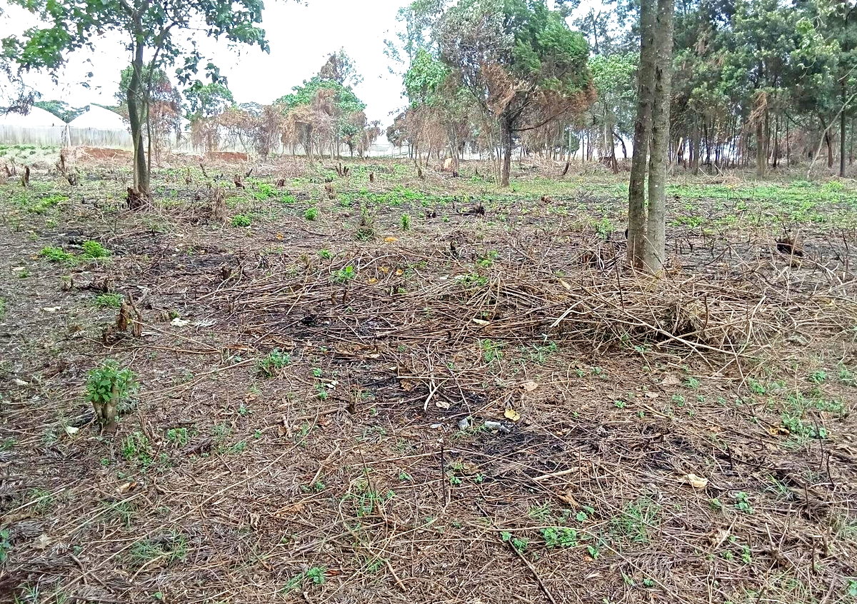 KSh 25M Garden Land in Redhill