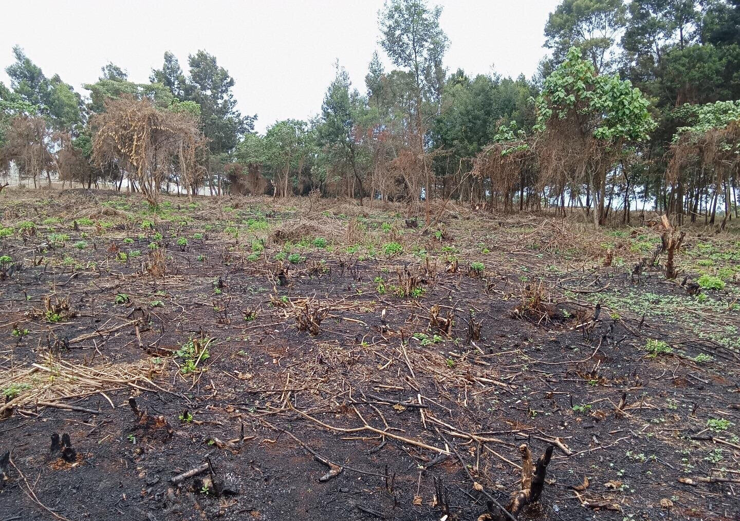 KSh 25M Garden Land in Redhill