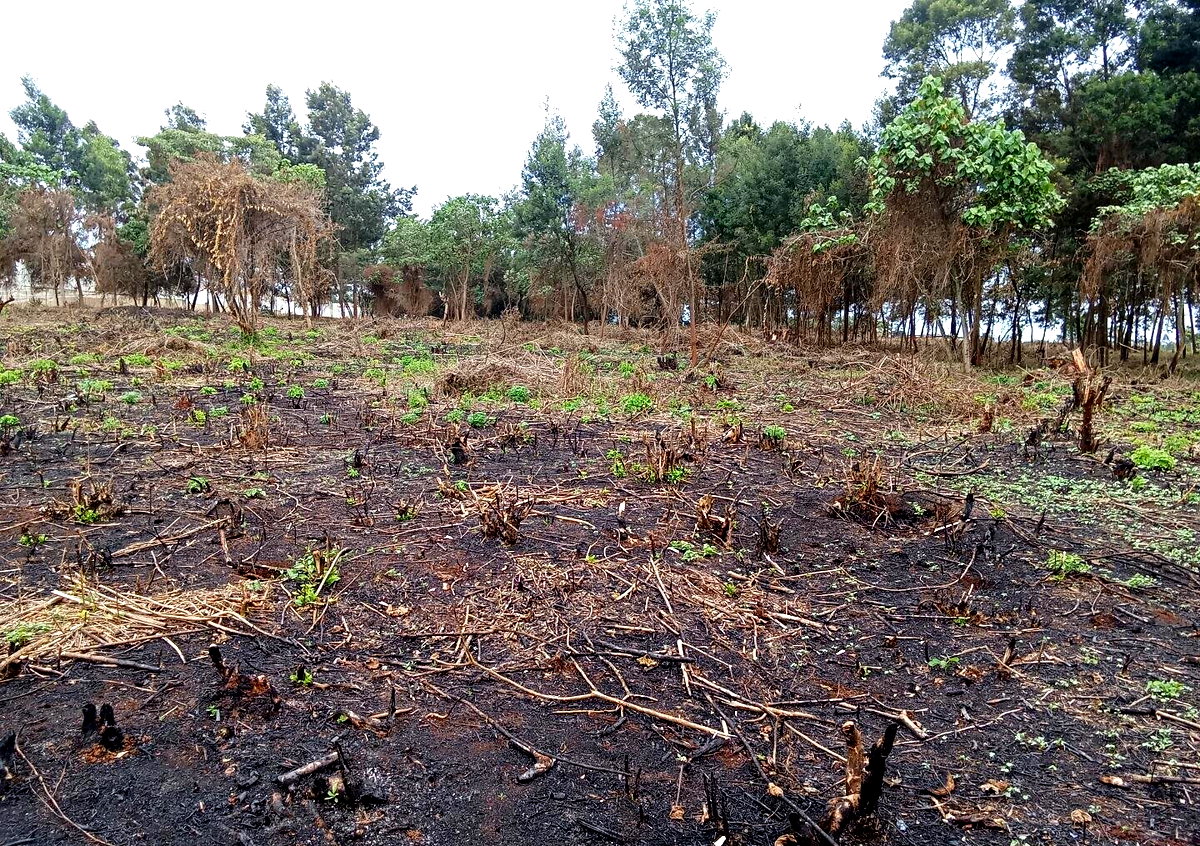 KSh 25M Garden Land in Redhill