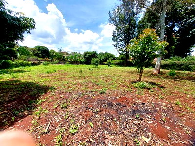 Runda 1/2 Residential Plot for Sale - Image 4