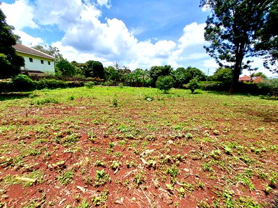 Runda 1/2 Residential Plot for Sale - Image 6