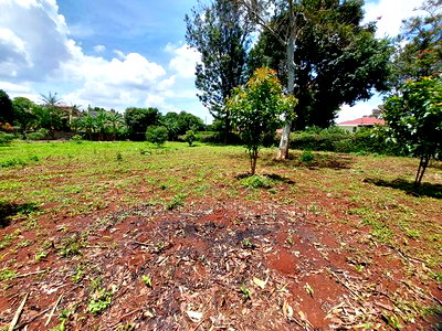 Runda 1/2 Residential Plot for Sale - Image 7