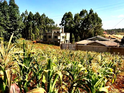 100 X 100ft Plot for Sale in Kikuyu, Ondiri. - Image 7