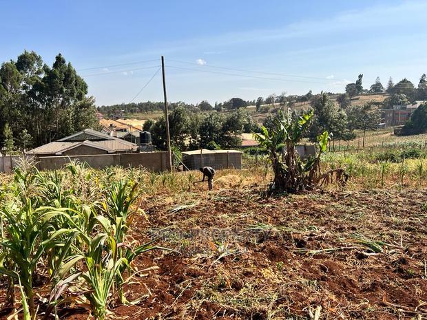 100 X 100ft Plot for Sale in Kikuyu, Ondiri.