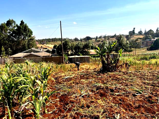 100 X 100ft Plot for Sale in Kikuyu, Ondiri.