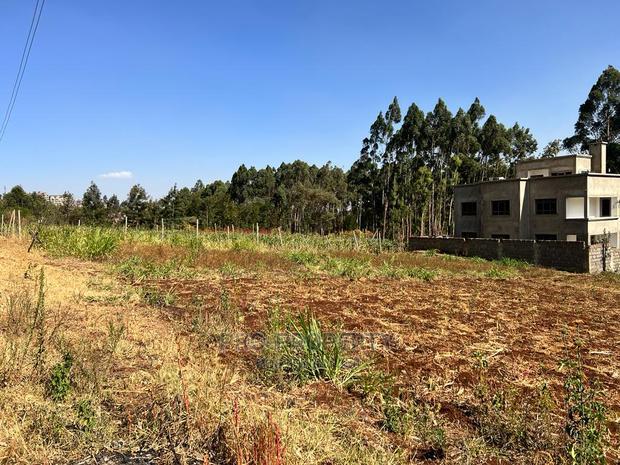 100 X 100ft Plot for Sale in Kikuyu, Ondiri.