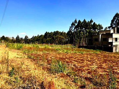 100 X 100ft Plot for Sale in Kikuyu, Ondiri. - Image 6