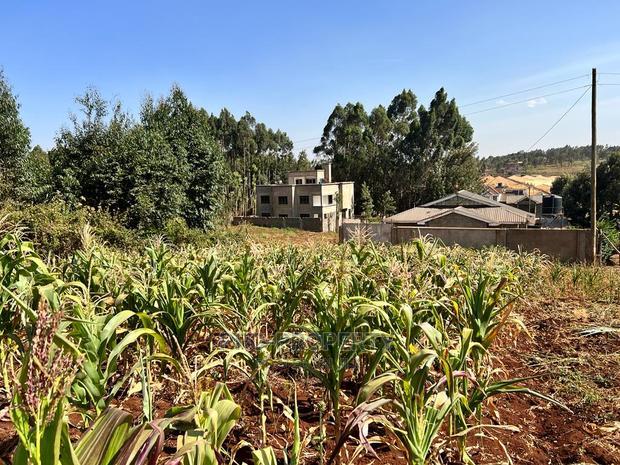 100 X 100ft Plot for Sale in Kikuyu, Ondiri.