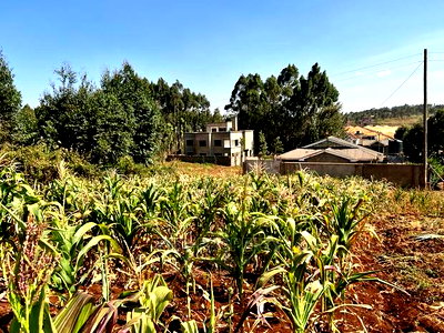 100 X 100ft Plot for Sale in Kikuyu, Ondiri. - Image 5