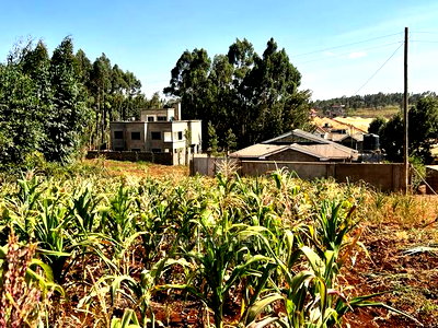 100 X 100ft Plot for Sale in Kikuyu, Ondiri. - Image 15