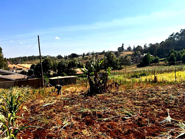 100 X 100ft Plot for Sale in Kikuyu, Ondiri.