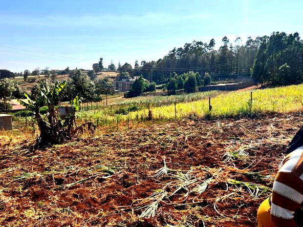 100 X 100ft Plot for Sale in Kikuyu, Ondiri.