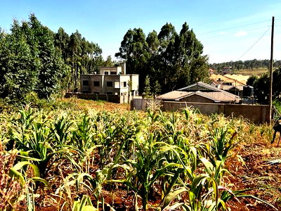 100 X 100ft Plot for Sale in Kikuyu, Ondiri. - Image 11