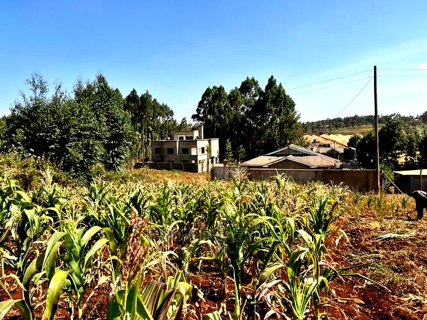 100 X 100ft Plot for Sale in Kikuyu, Ondiri.